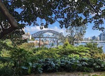 australia/sydney/attraction/wendy-whiteley-s-secret-garden