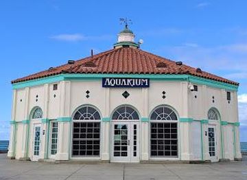 california/burbank/attraction/roundhouse-aquarium