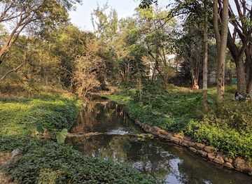 india/pune/kalyani-nagar/attraction/osho-garden