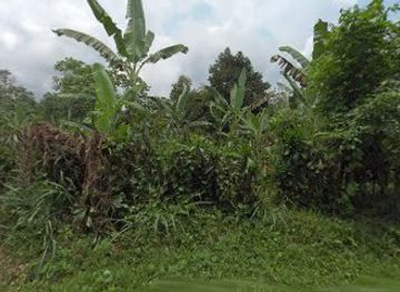 sao-tome-and-principe/praia-inhame/attraction/cascata-mioba