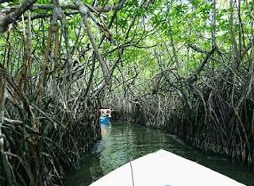 sri-lanka/bentota/attraction/madu-river-safari-madu-ganga-boat-safari