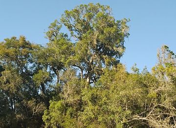uruguay/quebrada-de-los-cuervos/attraction/arenal-del-rio-tacuarembo