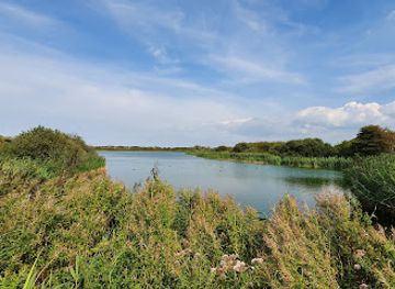 netherlands/bollenstreek/attraction/vogelkijkmuur