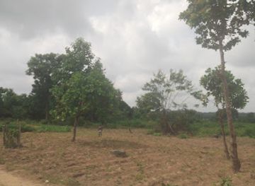 togo/sokode/attraction/ferme-kparioh-pdej