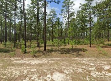 north-carolina/sandhills/attraction/sandhills-of-south-carolina