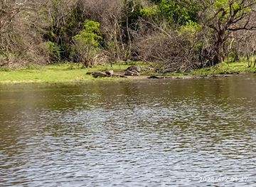 uganda/murchison-falls-national-park/attraction/friendly-wilderness