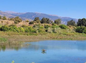 lebanon/tyre/attraction/nahal-snir-nature-preserve