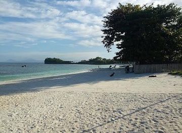 philippines/malapascua-island/attraction/white-sand-beach