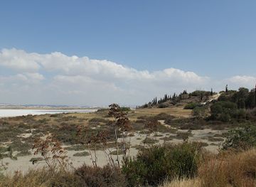 cyprus/larnaca-salt-lake/attraction/salt-lake-hiking-trail