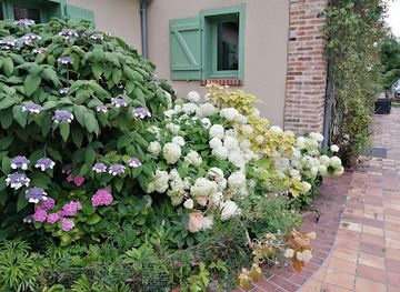 portugal/douro-valley/attraction/mira-douro