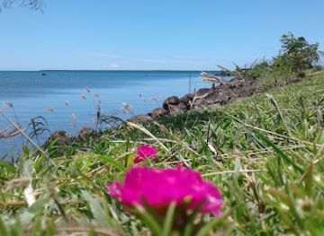 fiji/central-division/attraction/vatia-cruise-liner-wharf