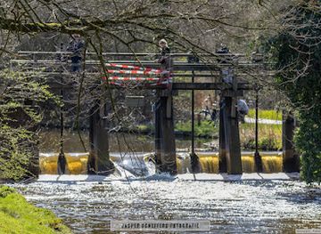 netherlands/eindhoven/attraction/dommel-bridge-and-kayak-feature