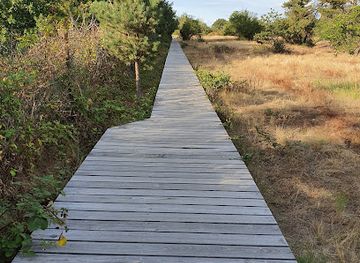 germany/taunus/attraction/schwanheimer-dunen