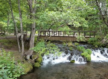 japan/koshi/attraction/fukidashi-park