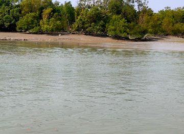 india/sundarbans/attraction/sundarban-chalo-tourism-best-tour-packages-from-kolkata