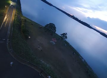 singapore/pulau-semakau/attraction/upper-seletar-reservoir-tree