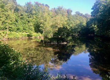 germany/taunus/attraction/franzoseneck