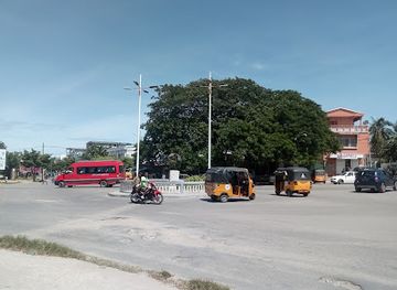 madagascar/mahajanga/attraction/sacre-woods