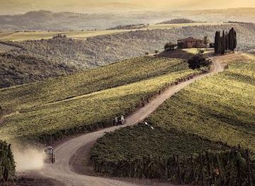 italy/montepulciano/attraction/castiglion-del-bosco-winery