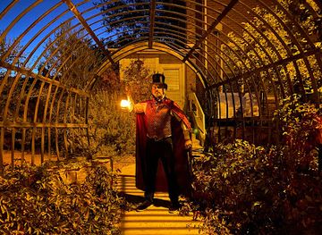 arizona/san-francisco-peaks/attraction/freaky-foot-tours