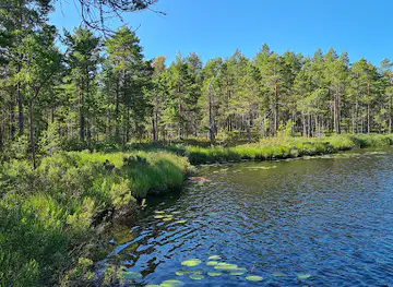 Lappland naturreservat