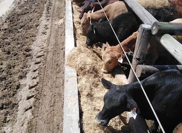 south-africa/amatola-mountains/attraction/delville-feedlot