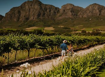 south-africa/cape-winelands/attraction/vrede-en-lust-wine-estate