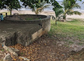 gabon/akanda-national-park/attraction/concrete-protection-canon-1940