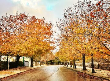 lebanon/north-lebanon/attraction/soufar-boulevard