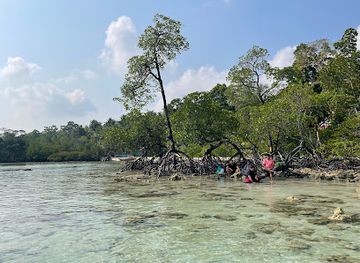 india/andaman-and-nicobar-islands/attraction/nemo-beach