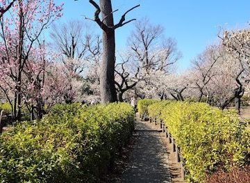 japan/tokyo/attraction/hanegi-park