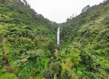 tanzania/arusha/attraction/african-culture-and-adventures-safari