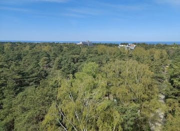 latvia/jurmala/attraction/dzintaru-mezaparka-skatu-tornis