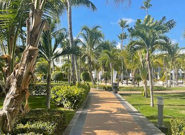 dominican-republic/bavaro/attraction/iberostar-dominicana-garden