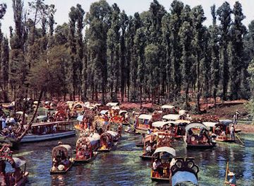 mexico/mexico-city/xochimilco/attraction/mi-lindo-xochimilco