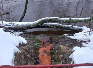 lithuania/anyksciai-treetop-walking-path/attraction/saltinis