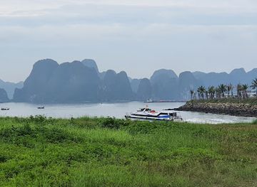 vietnam/ha-long/tuan-chau-island/attraction/khu-du-lich-tuan-chau-kk13