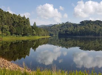 burundi/rusizi-national-park/attraction/kibira-national-park