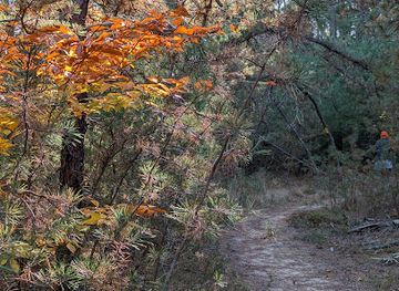rhode-island/arcadia-management-area/attraction/carter-preserve-western-trail-head