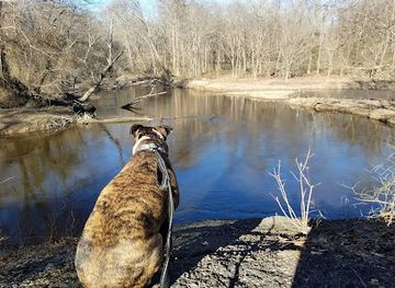 north-carolina/high-country/attraction/old-waynesborough-park