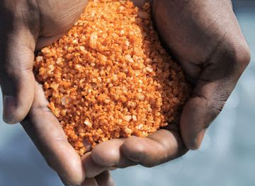 saint-vincent-and-the-grenadines/saint-andrew/attraction/grenadine-sea-salt