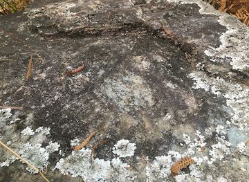 bhutan/mongar-district/attraction/mansang-strong-man-footprint