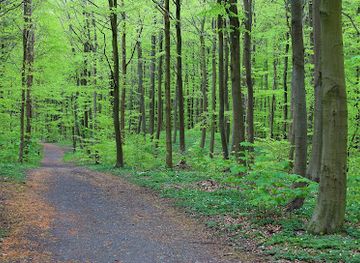 denmark/east-jutland/attraction/kirkeskov