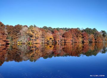 delaware/lums-pond-state-park/attraction/trap-pond-state-park