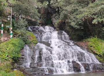 india/shillong/laban/attraction/shillong-peak-picnic-spot