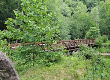 virginia/grayson-highlands-state-park/attraction/virginia-creeper-trail-whitetop