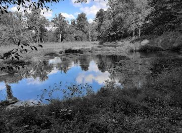 tennessee/mississippi-delta/attraction/rock-springs-nature-trail