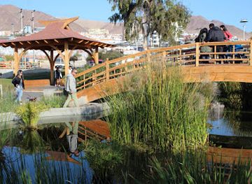 chile/antofagasta/attraction/japones-park