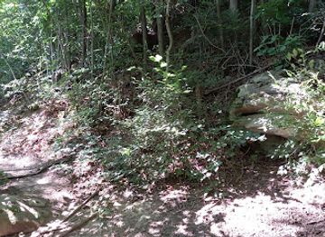 romania/ramnicu-valcea/attraction/ciuperca-pietroasa