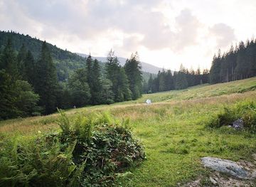 ukraine/hoverla-mountain/attraction/narinetskyy-falls